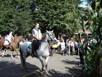 gallery/dsc02289